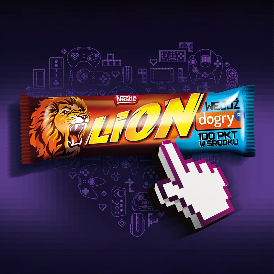 Case Study LION